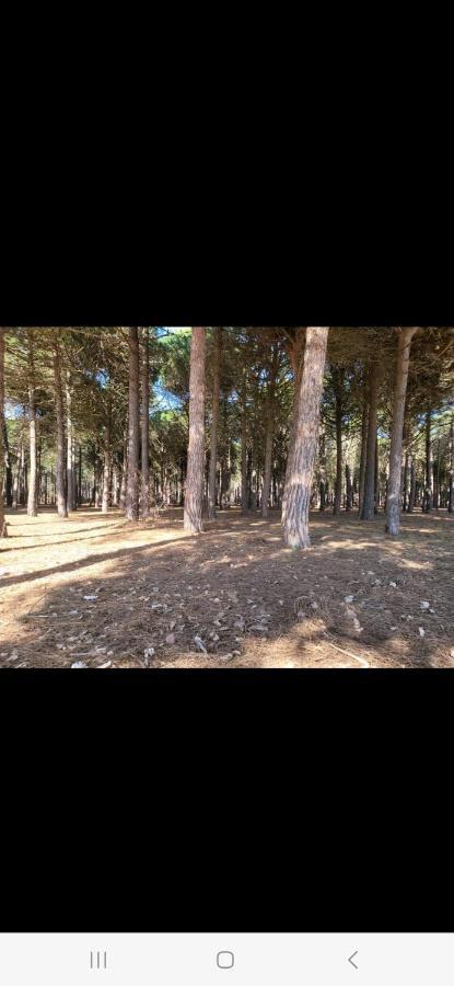 Appartement 6P Rez-De-Jardin Clim Acces Mer Direct Le Barcares Luaran gambar